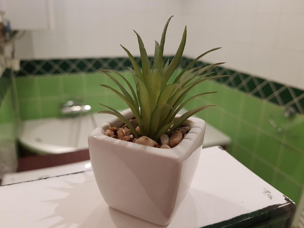 Deak Apartman Sopron Extérieur photo